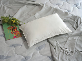 GLORY pillow