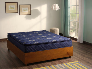 Splendor pt premium foam encased bonnell spring mattress